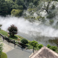 庭園では雲海が見れる