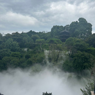 ホテル椿山荘名物の雲海！