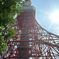 入り口から見える景色