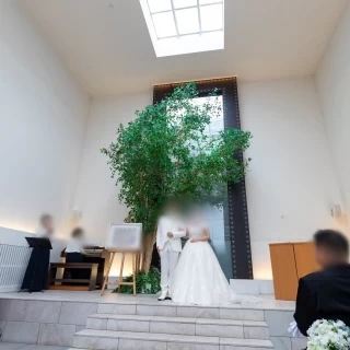 大きな木と控えめな滝が癒されます