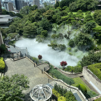 雲海。1時間に二回