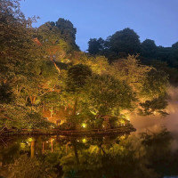 夜の庭園も綺麗です