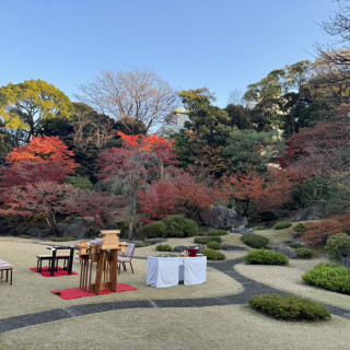 庭園綺麗です