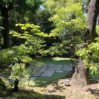 緑がいっぱいです