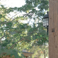 ナチュラルで素敵な外観です