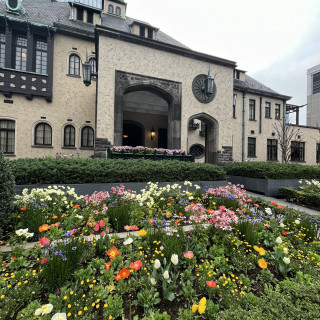 春先、玄関前のお花が綺麗でした