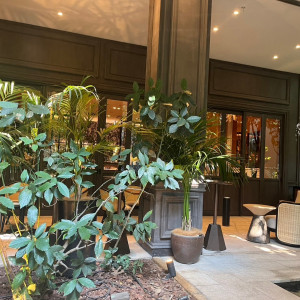 植物が多く、アジアンリゾート感もありました。|713586さんのCrevette 名古屋（クルヴェット ナゴヤ）●BRASSグループの写真(2429853)