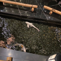 館内に川が流れています