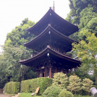 庭園、三重塔