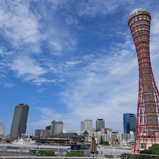 建物からみた景色