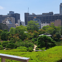 ガーデン挙式からみる庭園