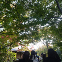 会場へ行くまでの1700坪のお庭