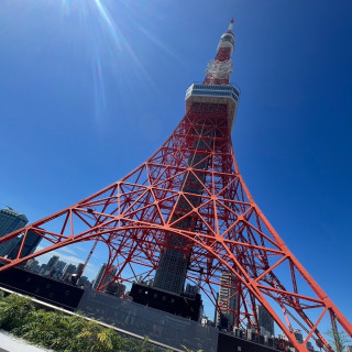 東京タワーがよくみえます