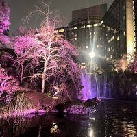 夜のライトアップ