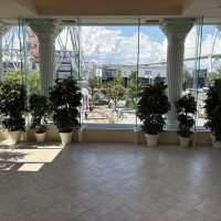 フラワーシャワーをするところで
天気が唯一関係します