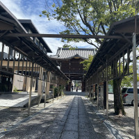 神社の参道での花嫁行列も憧れます。