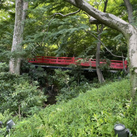 自然豊かな庭園