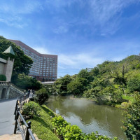 池は雲海が掛かっていなくても立派です。鯉と亀がいました。