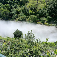 庭園はまるで森の中のよう