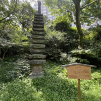 見ごたえばっちりの庭園