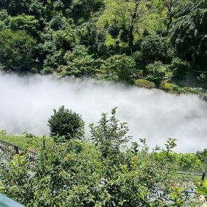 庭園はまるで森の中のよう|715005さんのホテル椿山荘東京の写真(2477877)