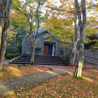 苔庭の中に佇むチャペル。紅葉真っ只中で落葉も素敵でした。