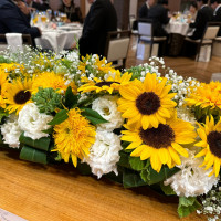こだわりのひまわり。