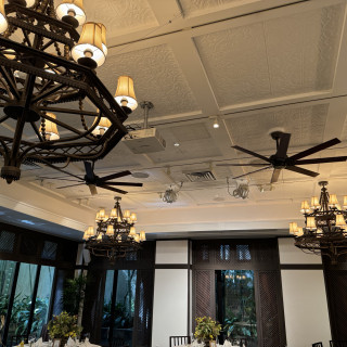 緑に囲われていて自然光が差し込む