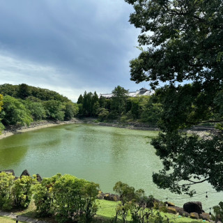 テラスからの景色
奈良ホテルが見てます