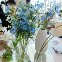 可愛かった