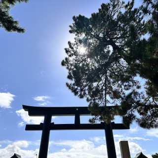 大きな鳥居が迫力がありました