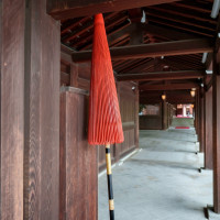この赤い傘を差して参進します