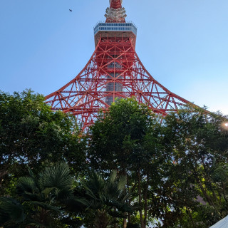 ガーデンから見上げる東京タワー