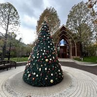 少し早いけどクリスマスツリーがありました。