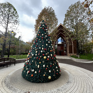 少し早いけどクリスマスツリーがありました。|716799さんのララシャンス 博多の森の写真(2323329)