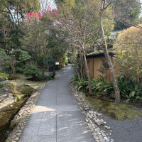 景色