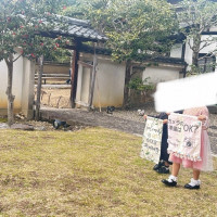 フラッグガールボーイ