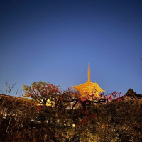景色