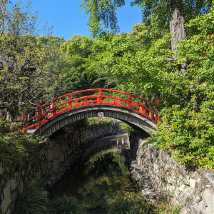 撮影スポット|717054さんの下鴨神社の写真(2234321)