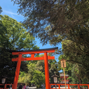 撮影スポット|717054さんの下鴨神社の写真(2234320)