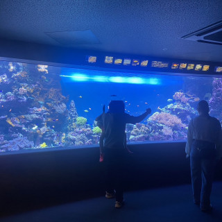 挙式会場の水族館内の様子です。