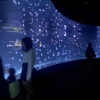 挙式会場の水族館内の画像です。クラゲと写真が撮れます。