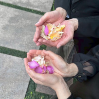 フラワーシャワーの花は生花でした。
