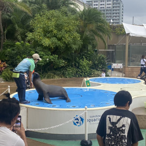 挙式会場の水族館の外では、アシカのショーをしていました。|717318さんのサンシャイン スカイブライダルの写真(2249158)