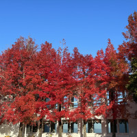 外の紅葉が綺麗な時期でした