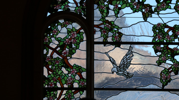 クチコミ導線画像2088561