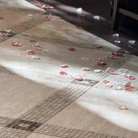 フラワーシャワー