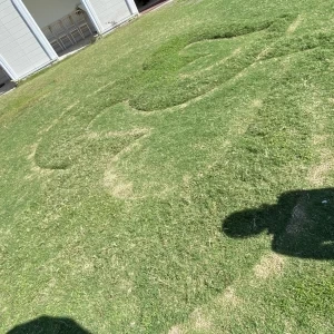 チャペル横芝生エリアにはハートのアートが|717759さんのアートグレイス ウエディングコースト(大阪)の写真(2262810)