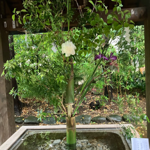 庭|717778さんの赤坂 氷川神社の写真(2465709)