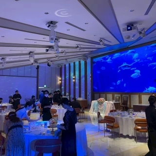 水族館の360℃映像